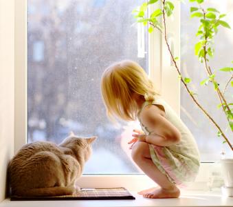 猫和女孩在窗台上看全高清壁纸和背景