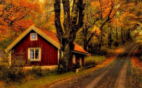 秋天路壁纸和背景图像的房子
