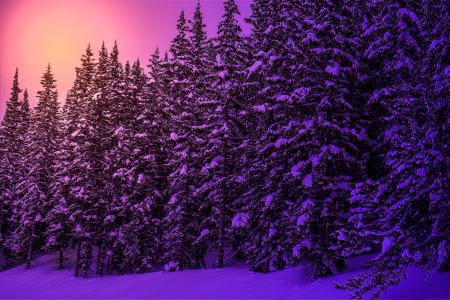 冬季森林日落5k视网膜超高清壁纸和背景