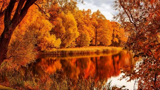 秋天湖壁纸和背景