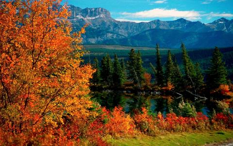 贾斯珀国家公园在秋季全高清壁纸和背景图像