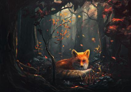 红狐狸在秋天森林全高清壁纸和背景