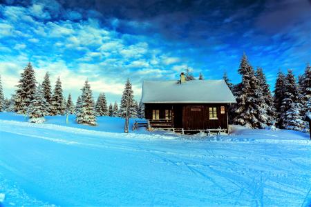 小屋在冬季森林4k超高清壁纸和背景图像