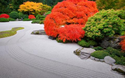 日本花园全高清壁纸和背景图像