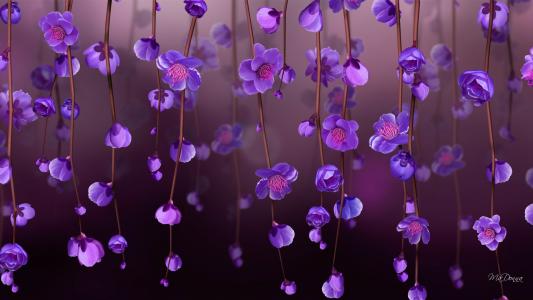 紫色花朵全高清壁纸和背景