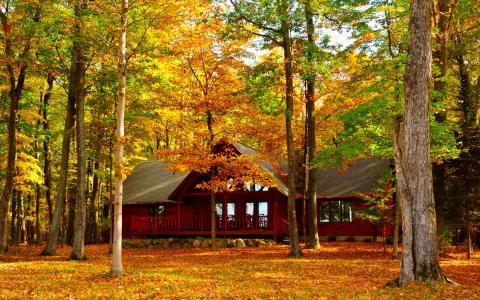 在秋季森林壁纸和背景图像的房子