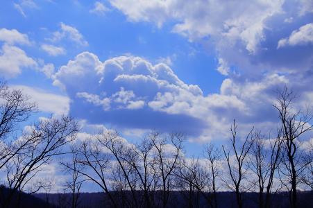 在蓝蓝的天空4k超高清壁纸和背景图像蓬松的云彩