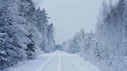白雪皑皑的冬季道路全高清壁纸和背景