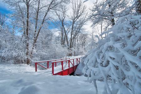 冬季公园桥全高清壁纸和背景