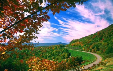 在秋季全高清壁纸和背景图像的山路