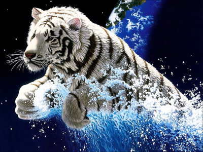 白色的老虎在赶时间壁纸和背景