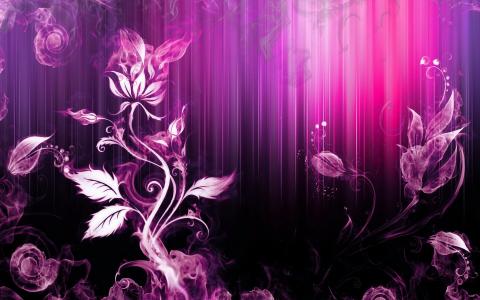 紫色的植物条纹全高清壁纸和背景