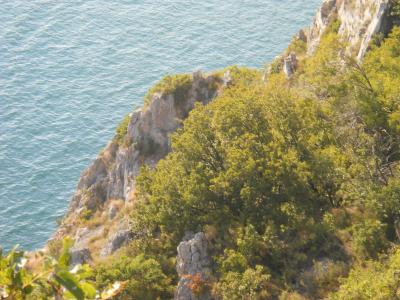 scogliera e macchia mediterranea全高清壁纸和背景图像