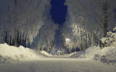 冬季道路全高清壁纸和背景