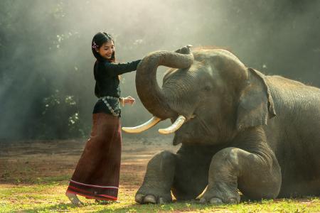 美丽的女人和她的大象4k超高清壁纸和背景