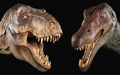 来自侏罗纪公园壁纸和背景的全尺寸男性T-Rex头部显示器