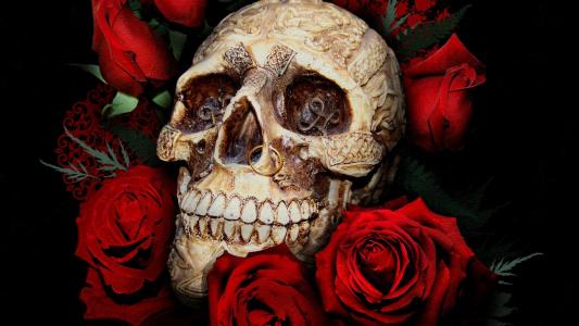 头骨穿孔和玫瑰全高清壁纸和背景
