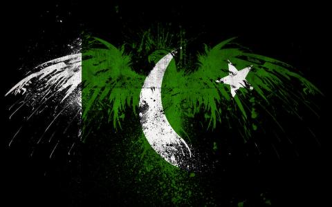巴基斯坦国旗全高清壁纸和背景图像