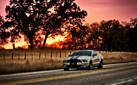 福特野马谢尔比GT500全高清壁纸和背景图像