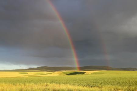双彩虹爱达荷州场5k视网膜超高清壁纸和背景