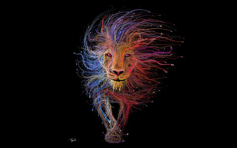 多彩的狮子4k超高清壁纸和背景图像