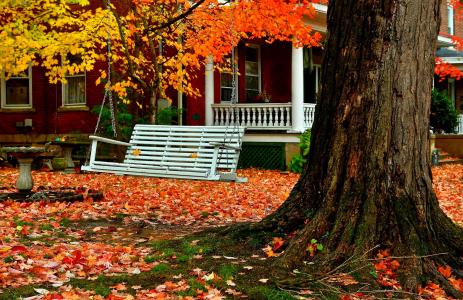 房子在秋天,树秋千全高清壁纸和背景