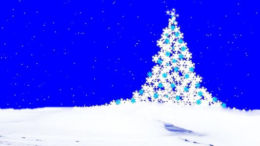 圣诞树在雪全高清壁纸和背景图像