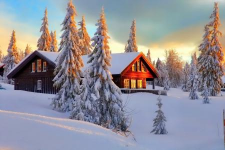 房子在冬季森林全高清壁纸和背景