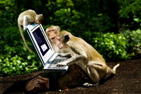 猴子在笔记本电脑全高清壁纸和背景