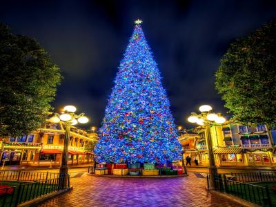 城镇广场全高清壁纸和背景图像点燃的圣诞树