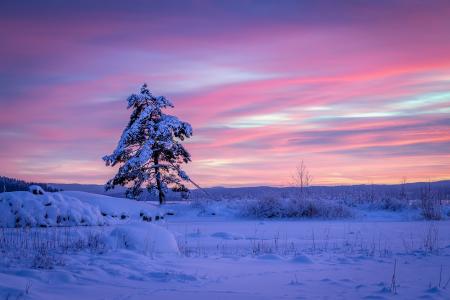 冬季日落5k视网膜超高清壁纸和背景图像