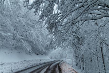 白雪皑皑的冬季道路全高清壁纸和背景图像