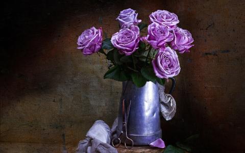 紫玫瑰全高清壁纸和背景图像