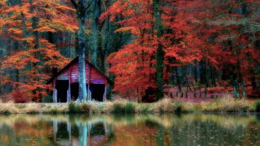小屋在秋季森林全高清壁纸和背景图像