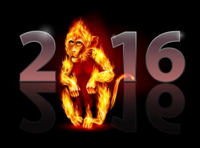 2016年是红火猴的一年。