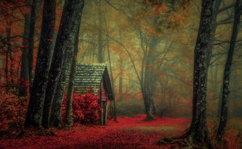 小屋在秋季森林全高清壁纸和背景图像