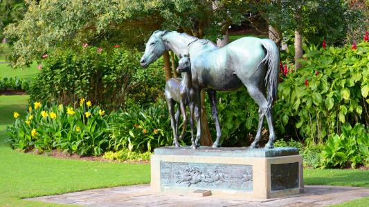 母马和小马雕像在皇家植物园悉尼澳大利亚全高清壁纸和背景图像