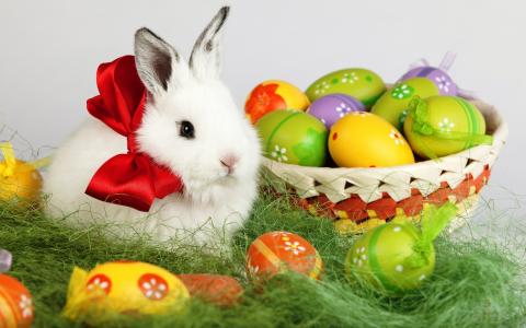 复活节兔子和鸡蛋在篮子里全高清壁纸和背景图像