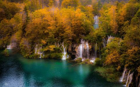 湖和秋天的树全高清壁纸和背景图像