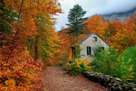 在秋季全高清壁纸和背景图像的山路