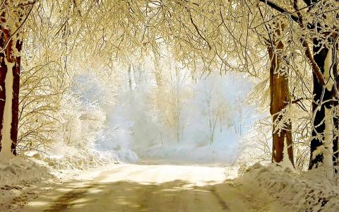 冬季[01]仙境之路[2015年2月13日星期五] [3840x2400] [105927] HIGHRES 4K超高清壁纸和背景