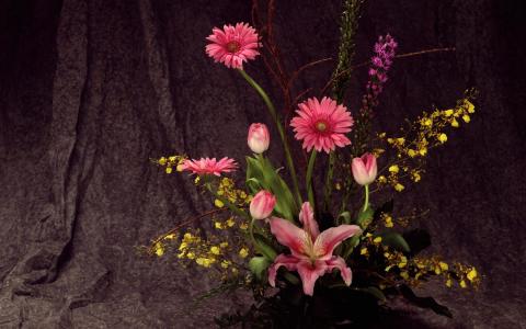 春天的花朵壁纸和背景图像