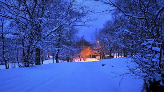 在黄昏的冬季道路全高清壁纸和背景