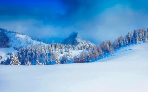 冬季森林在奥地利阿尔卑斯山全高清壁纸和背景