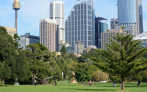 悉尼市由皇家植物园全高清壁纸和背景图像包围