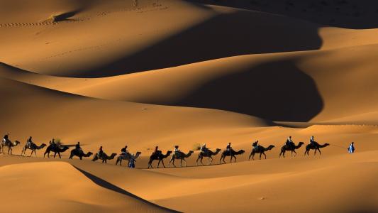 骆驼火车在摩洛哥全高清壁纸和背景