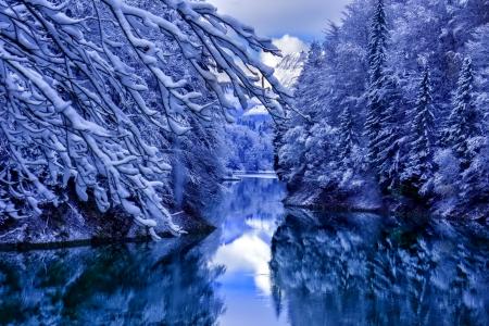 冬季树木反映在湖全高清壁纸和背景图像