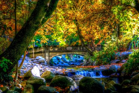 桥和瀑布流在秋季森林全高清壁纸和背景