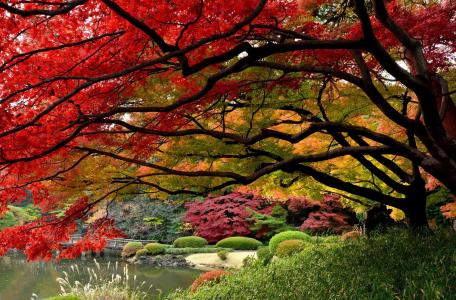 日本花园,十月全高清壁纸和背景