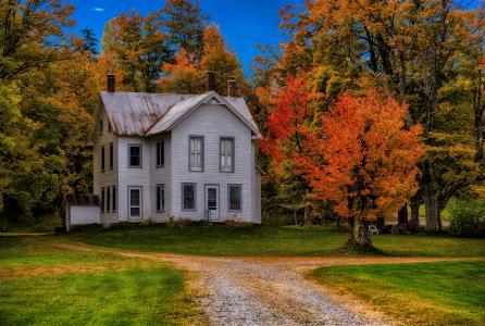 房子和秋天的树木全高清壁纸和背景图像